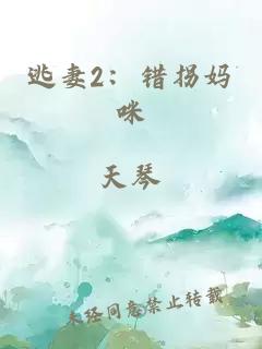 逃妻2：錯(cuò)拐媽咪