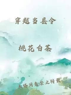 穿越當(dāng)縣令