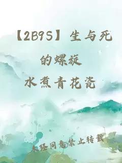 【2B9S】生與死的螺旋