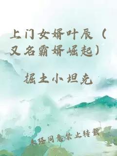 上門女婿葉辰（又名霸婿崛起）