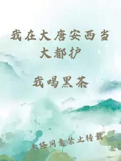 我在大唐安西當大都護