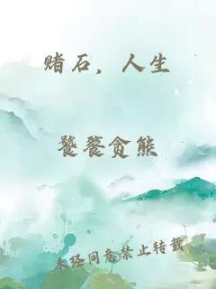 賭石，人生