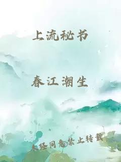 上流秘書