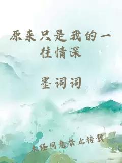 原來只是我的一往情深