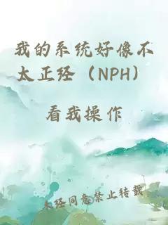 我的系統(tǒng)好像不太正經(jīng)（NPH）