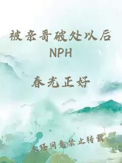 被親哥破處以后NPH