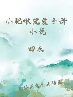 小肥啾寵愛手冊(cè) 小說