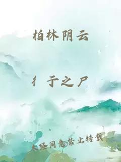 柏林陰云