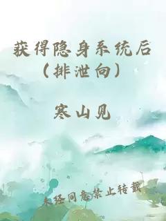 獲得隱身系統(tǒng)后（排泄向）