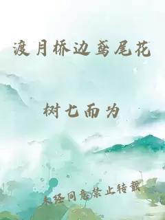渡月橋邊鳶尾花