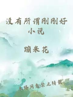 沒(méi)有所謂剛剛好小說(shuō)