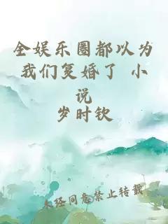 全娛樂圈都以為我們復婚了 小說