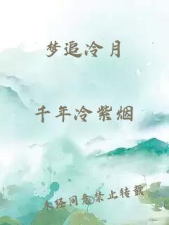 夢(mèng)追冷月
