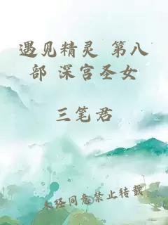 遇見精靈 第八部 深宮圣女