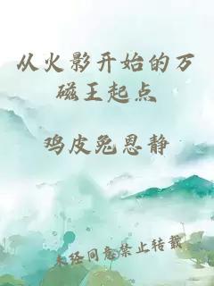 從火影開始的萬磁王起點(diǎn)