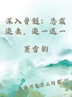 深入骨髓：總裁追妻，追一送一