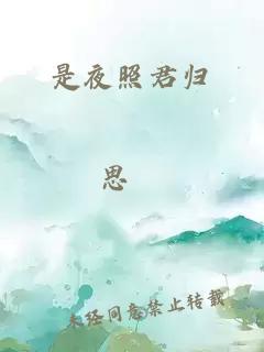 是夜照君歸