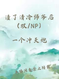 渣了清冷師爺后（雙/NP）