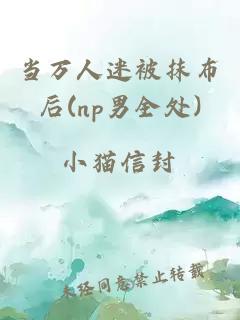 當(dāng)萬人迷被抹布后(np男全處)