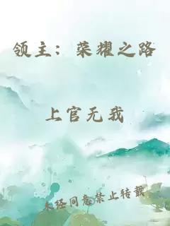 領(lǐng)主：榮耀之路