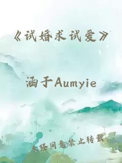 《試婚求試愛》