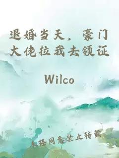 退婚當(dāng)天，豪門大佬拉我去領(lǐng)證