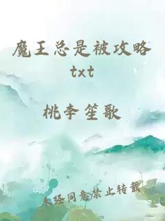 魔王總是被攻略txt