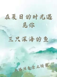在夏日的時光遇見你