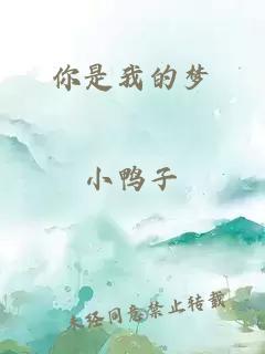 你是我的夢