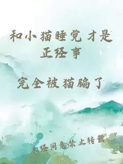 和小貓睡覺才是正經(jīng)事