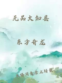 無品大知縣
