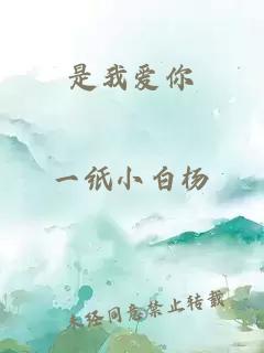 是我愛你