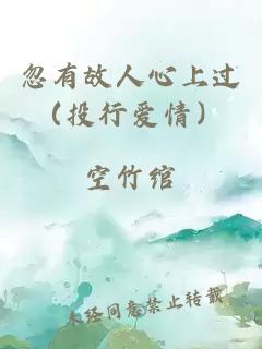 忽有故人心上過（投行愛情）