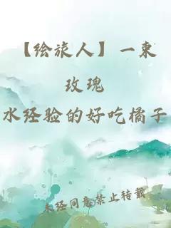 【繪旅人】一束玫瑰