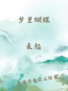 夢里蝴蝶
