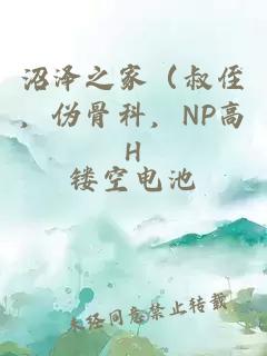 沼澤之家（叔侄，偽骨科，NP高H
