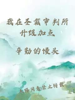 我在圣裁審判所升級加點