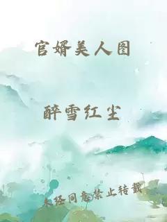 官婿美人圖