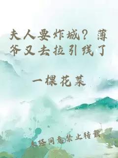 夫人要炸城？薄爺又去拉引線了