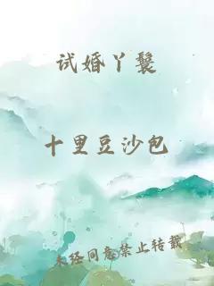 試婚丫鬟