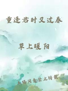 重逢君時又過春