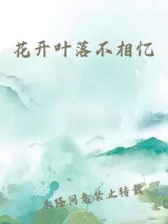 花開葉落不相憶