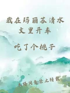 我在瑪麗蘇清水文里開車
