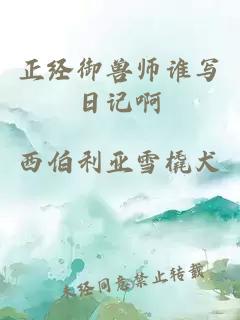 正經(jīng)御獸師誰寫日記啊